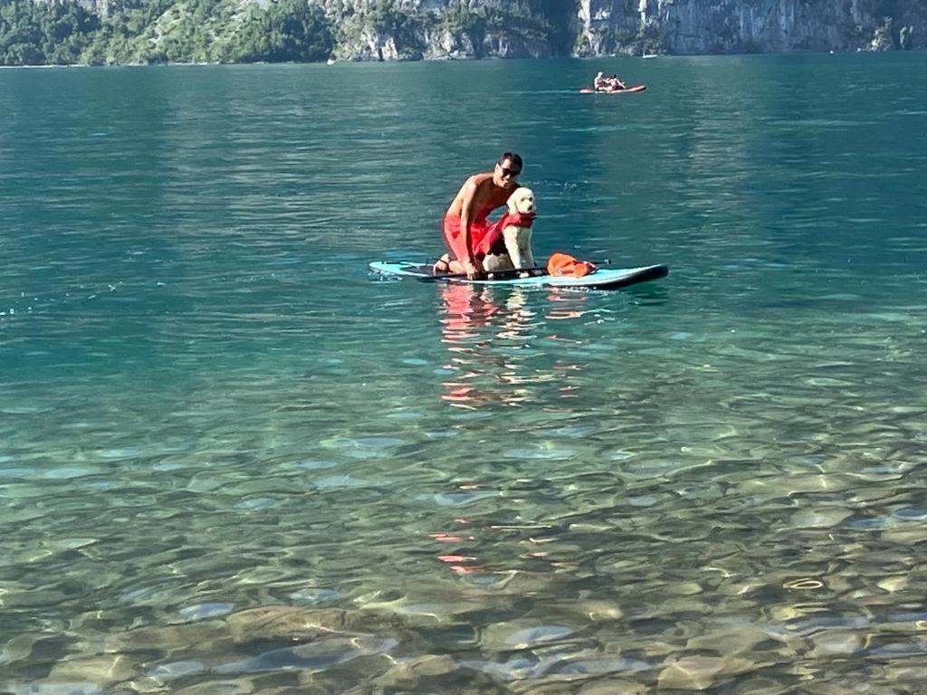 Doodle'S Amazing Chalet -Walensee - Flumserberg - Churfirsten - Heidiland - Pool - Sauna Mols Εξωτερικό φωτογραφία