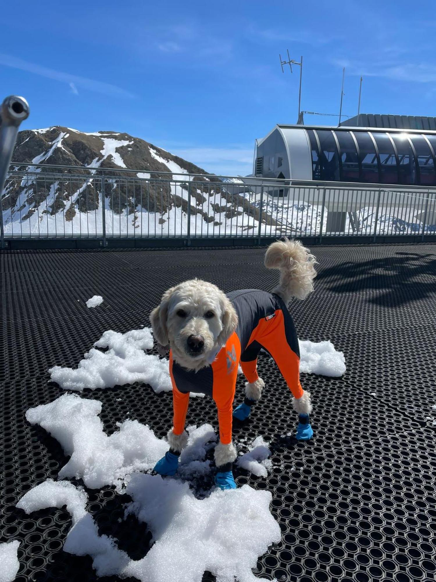 Doodle'S Amazing Chalet -Walensee - Flumserberg - Churfirsten - Heidiland - Pool - Sauna Mols Εξωτερικό φωτογραφία